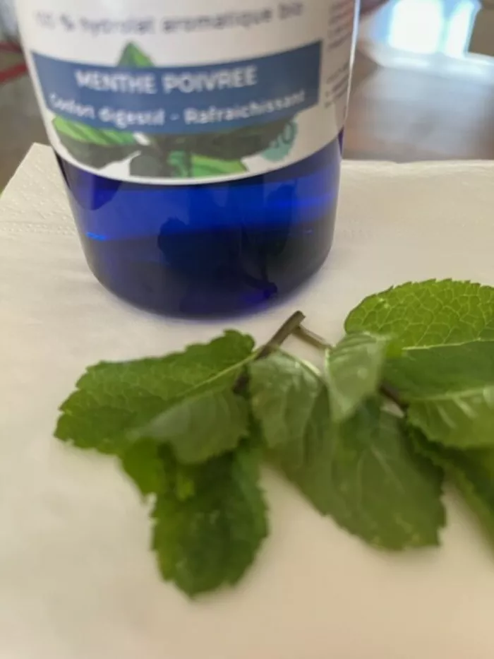 L'hydrolat rafraîchissant